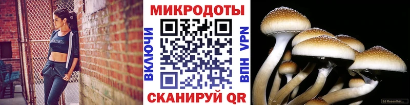 МЕГА ССЫЛКА  Дыгулыбгей  Псилоцибиновые грибы Magic Shrooms  наркошоп 