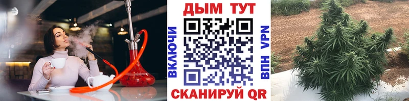 МАРИХУАНА план  где можно купить наркотик  Дыгулыбгей 